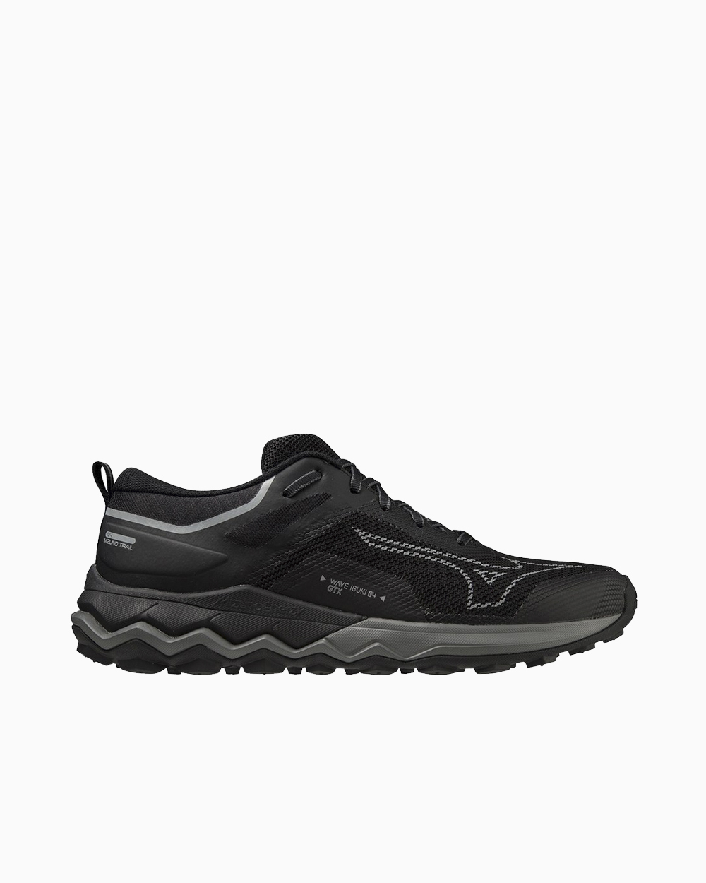 Кроссовки Mizuno Wave Ibuki 4 GTX