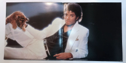 Винтажная виниловая пластинка LP Michael Jackson Thriller (Holland 1982)