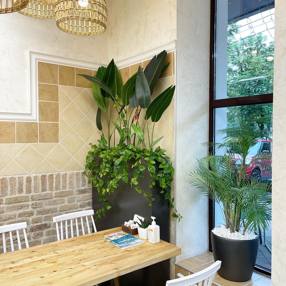 Озеленение искусственными стрелициями и ампельными растениями кафе в супермаркете "Табрис"  г.Краснодар