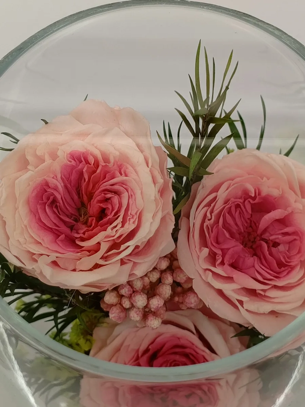 натуральные кустовые пионы в стекле, вакуум*