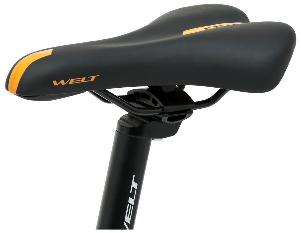 Горный велосипед Welt Raven 1.0 HD 29 (2024)