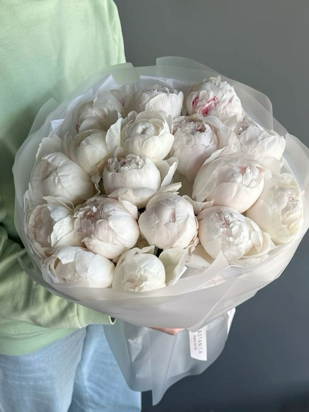 Белые пионы "Shirley Temple"