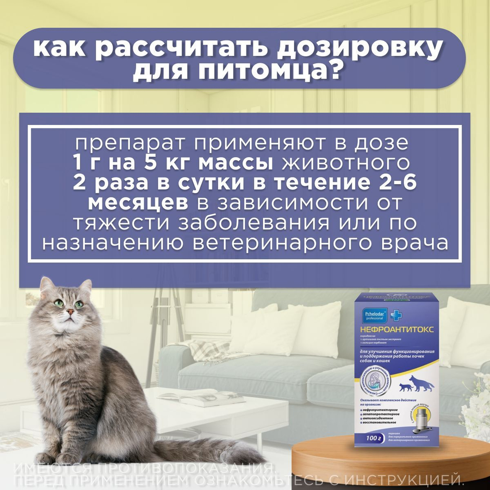 Нефроантитокс порошок банка, 100 гр