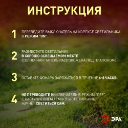 Светильник уличный ЭРА ERASF22-24 Факел бамбук на солнечных батареях садовый 56 см