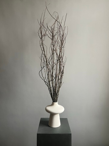 Ветки шиповника