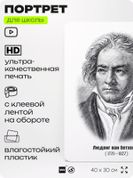 Портрет для школы в кабинет музыки "Людвиг Ван Бетховен", стенд школьный для класса, деятели науки для оформления классного уголка, 40х30 см, Silver Plane x Айдентика Технолоджи