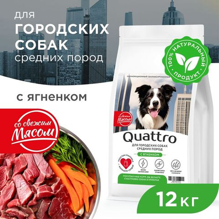 Корм сухой для взрослых собак средних пород, премиум полнорационный комплекс, для городских собак, с ягненком, 12 кг, QUATTRO