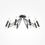 Потолочный светильник Maytoni MOD620CL-16B