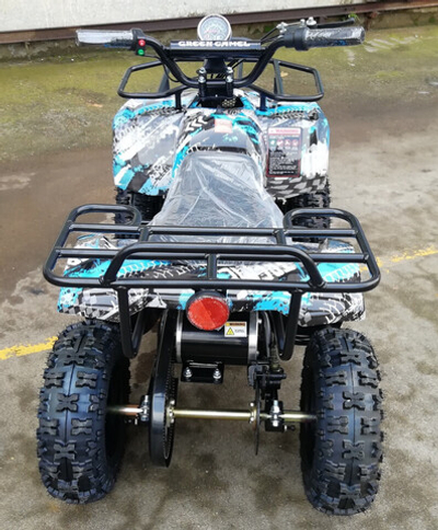 Квадроцикл GreenCamel Гоби K32 (36V 1000W R6 Цепь) ножной тормоз электр.