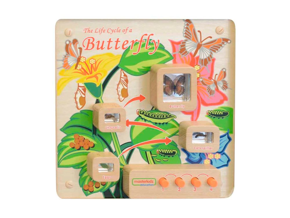 Панель &quot;Бабочка&quot;