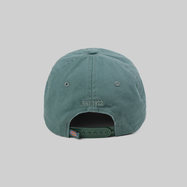 Кепка Dickies Hardwick 6 Panel Logo артикул:DK0A4TKVH151 - купить в магазине Дайс