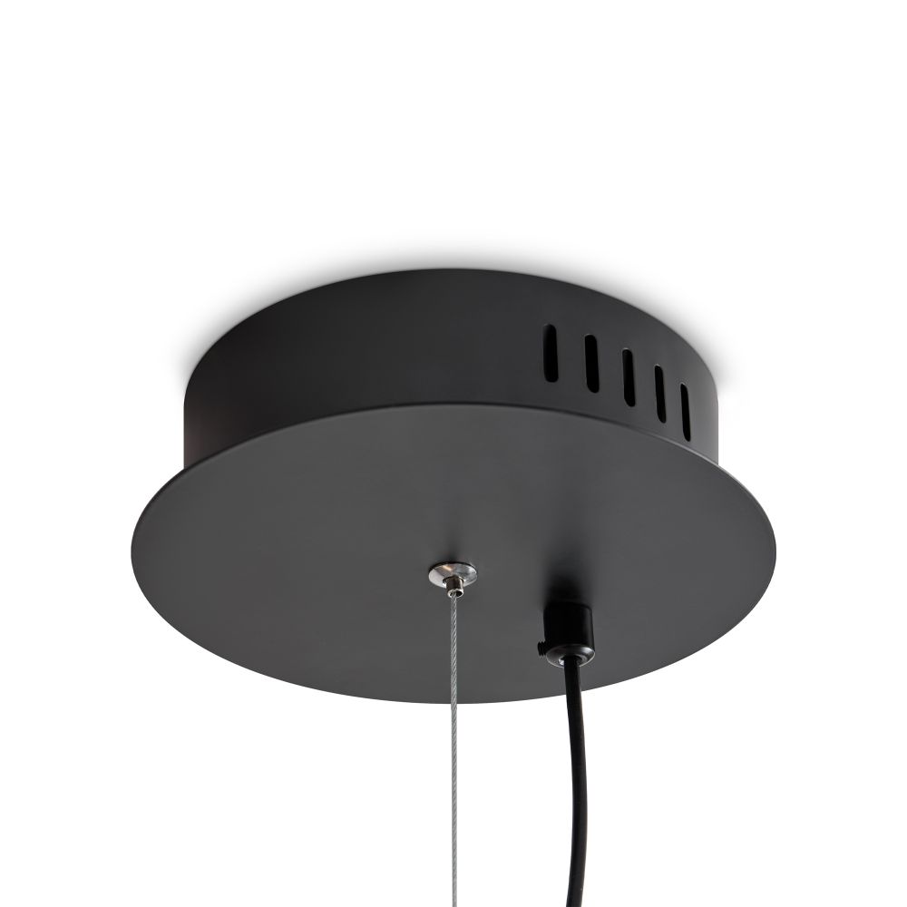 Подвесной светильник Freya FR5556PL-L22BBS