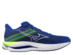 Кроссовки для бега мужские Mizuno Wave Inspire 21 M Сине-Зеленый