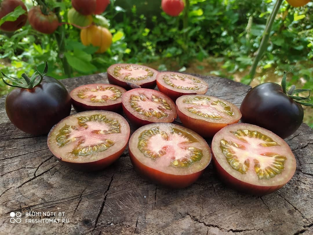 Шоколадный каштан (Chestnut Chocolate) сорт томата