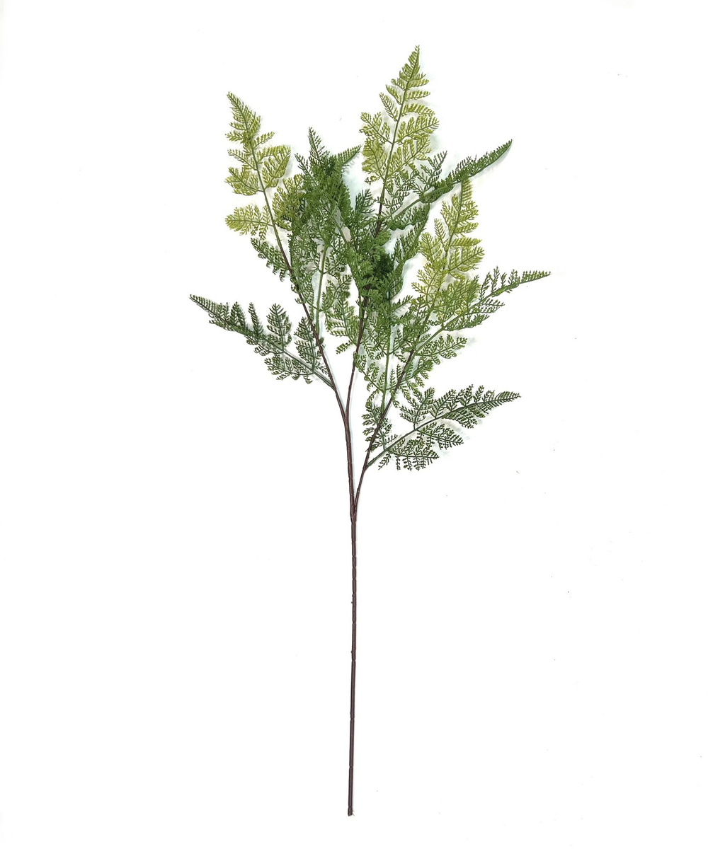 Папоротник альпийский ветка 100см