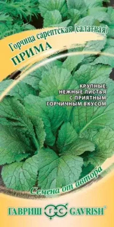 Горчица листовая Прима 1 гр СЕМЕНА ОТ АВТОРА (Гавриш)