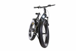 Электровелосипед E-motions Challenger Fat Premium фэтбайк