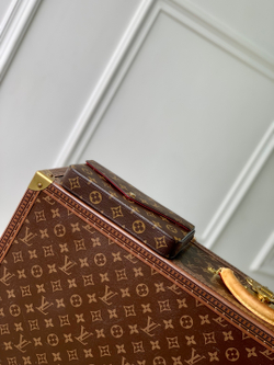 Louis Vuitton Felicie Pochette