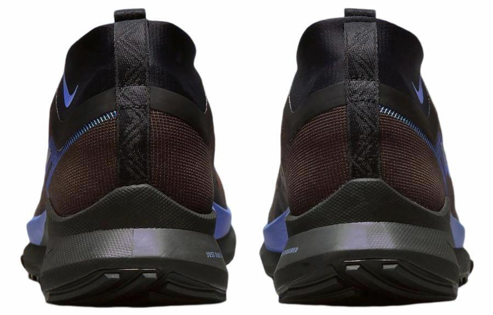 Кроссовки Nike Pegasus Trail 4 Gore-Tex