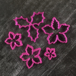 Набор Пуансеттия