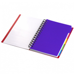 Тетрадь 120л., А5, клетка, Alingar, гребень, пластиковая обложка с инф. окнами, цветные пластиковые разделители, ассорти 4 цвета