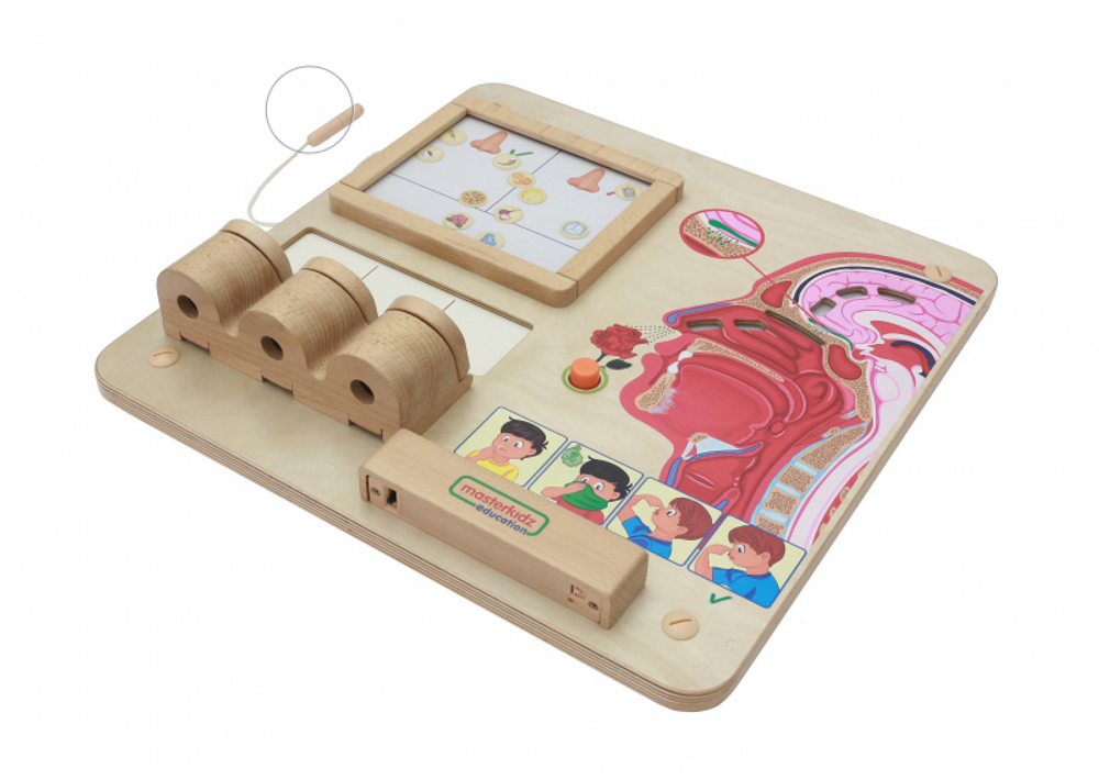 Панель Обоняние