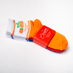 Комплект возрослых носков «Ягоды Карелии», 3 пары