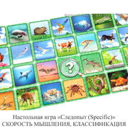 Настольная игра «Следопыт (Specific)» СКОРОСТЬ МЫШЛЕНИЯ, КЛАССИФИКАЦИЯ