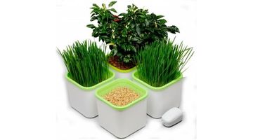 Гидропонная мини-система Здоровья Клад АэроСад (4-х модульная)