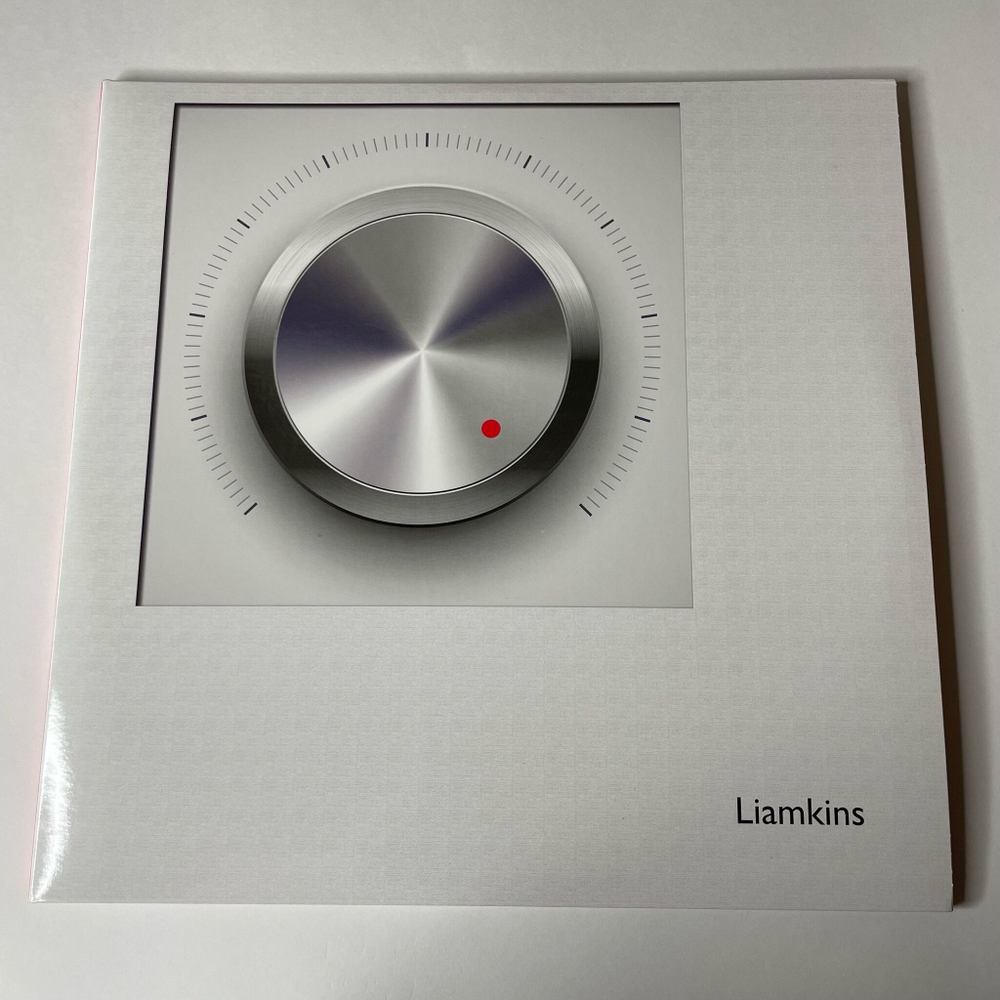 Винтажная виниловая пластинка LP Liamkins Reason Softly Speaks Or Just Make It Louder (Россия 2013)