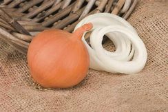 МАНАС F1 семена лука репчатого (Bejo | Alexagro)