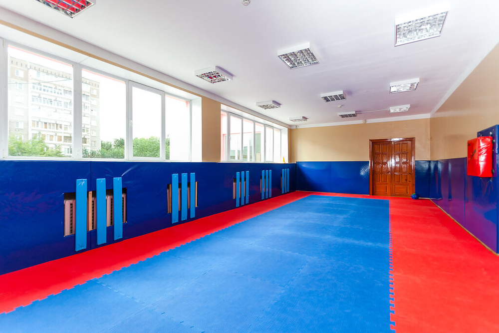 Будо-мат (татами) двухсторонний (1 плита 100x100x4см, 1кв.м./уп)