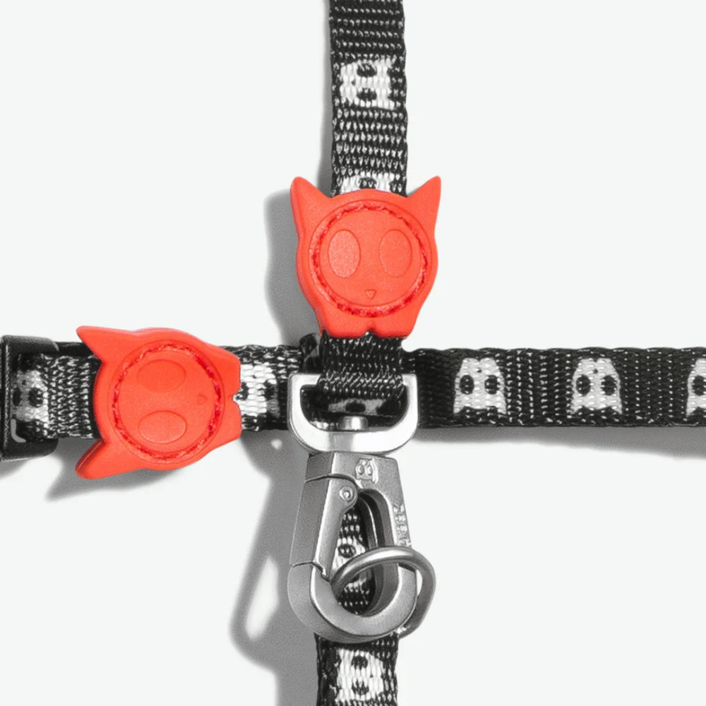 Шлейка+поводок SKULL 2.0 Zee.Cat