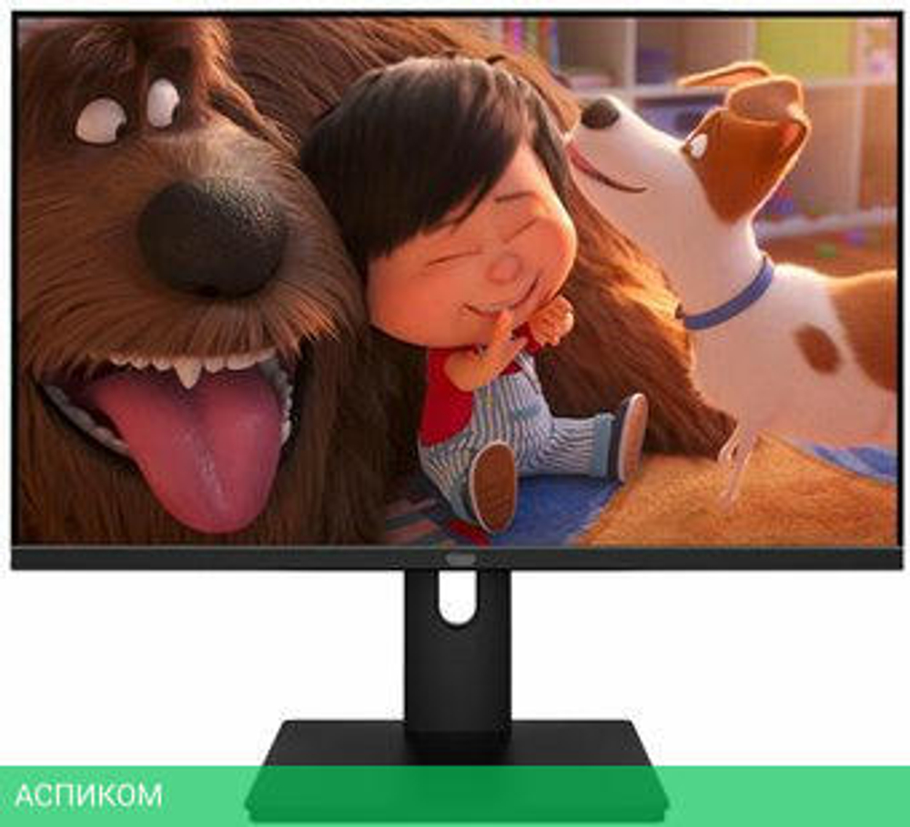 Монитор Aiwa MF2203