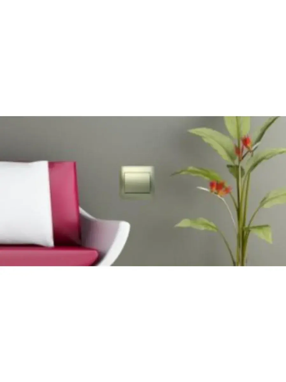 Розетка 1-я с крышкой ProfiTec Corsa бежевая