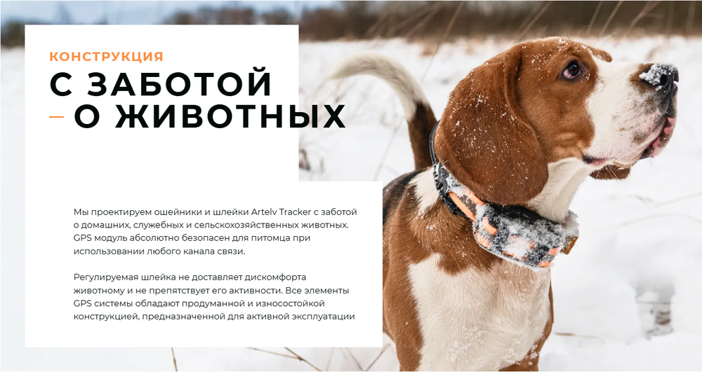 GPS ошейник Artelv Tracker 2W с базовой станцией (AT2W)