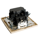 Розетка 1-местная с/з STEKKER, PST16-9016-02, 250В, 16А с USB+ type C, серия Эрна, слоновая кость 50077