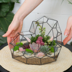 Готовый флорариум с суккулентами Сердце Венеры