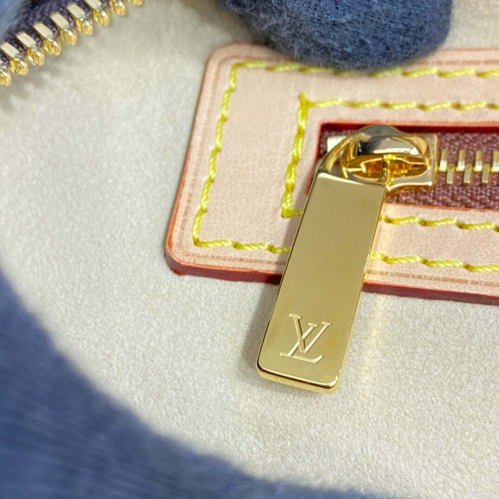 Louis Vuitton Cite GM