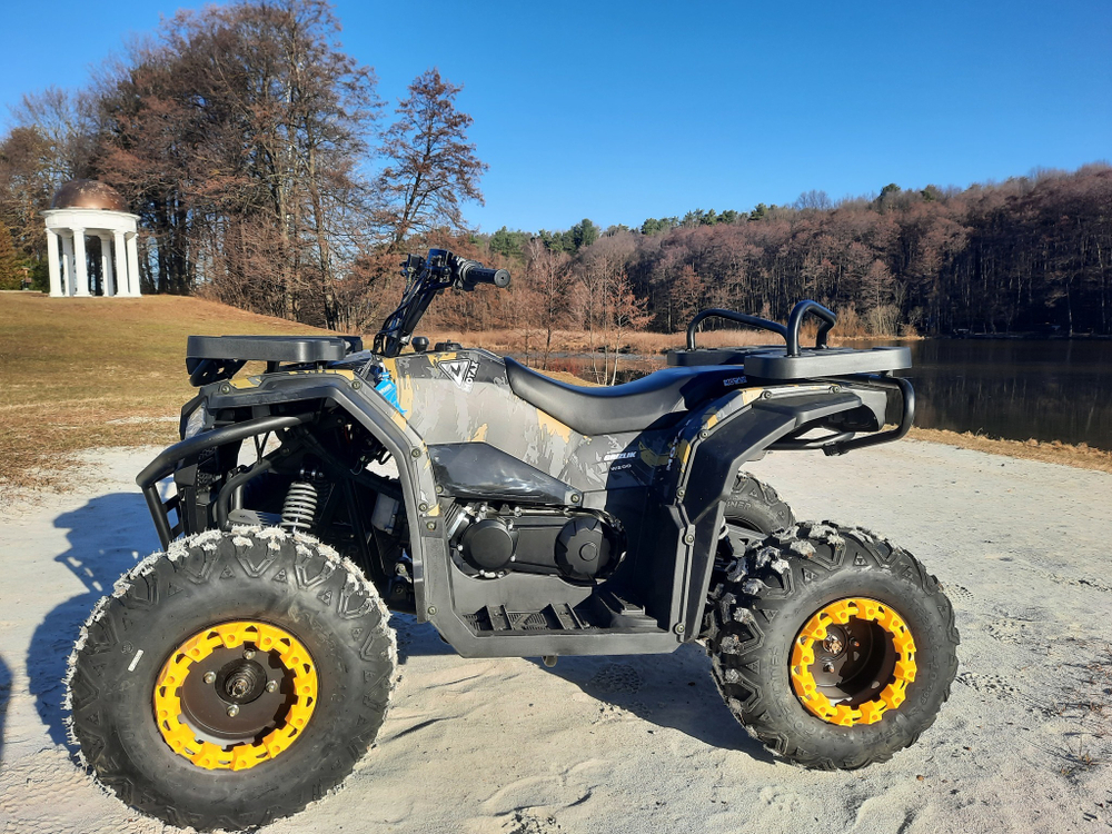 Квадроцикл бензиновый MOTAX GRIZLIK W200