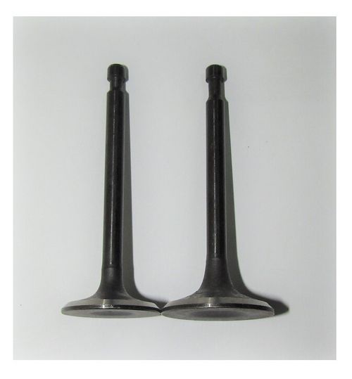 Клапан впускной/выпуской (комплект,2 шт )GX390/Valve kit