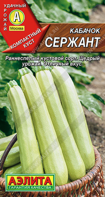 Кабачок Сержант цуккини 1гр Аэлита