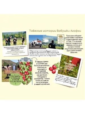 Шампунь для волос РБА Таежные истории Бессульфатный Дегтярная живица против перхоти 500 мл