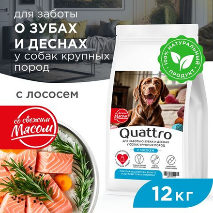 Корм сухой для взрослых собак крупных пород, премиум полнорационный комплекс, для заботы зубов и десен, с лососем, 12 кг, QUATTRO