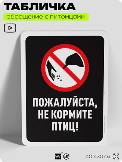Табличка "Не кормите птиц" на дверь и забор, для двора, дома, подъезда, 40х30 см, Silver Plane x Айдентика Технолоджи