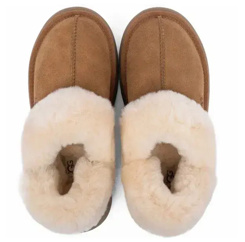 Ugg Slippers Disquette Chestnut