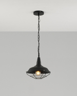 Подвесной светильник Moderli V1390-1P West