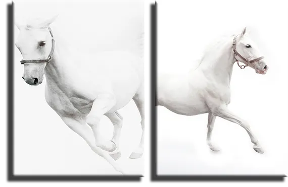 Модульная картина "Белые лошади"