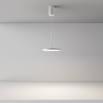 Подвесной светильник Maytoni P076PL-L12W4K-W