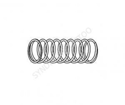 19 Inner piston spring Dragonfly STD (2260)